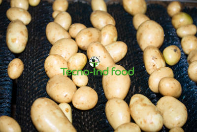 vasche di prelavaggio fagiolino